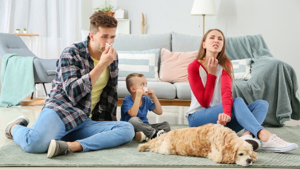 Best Air Purifier for Allergies in a Small Room