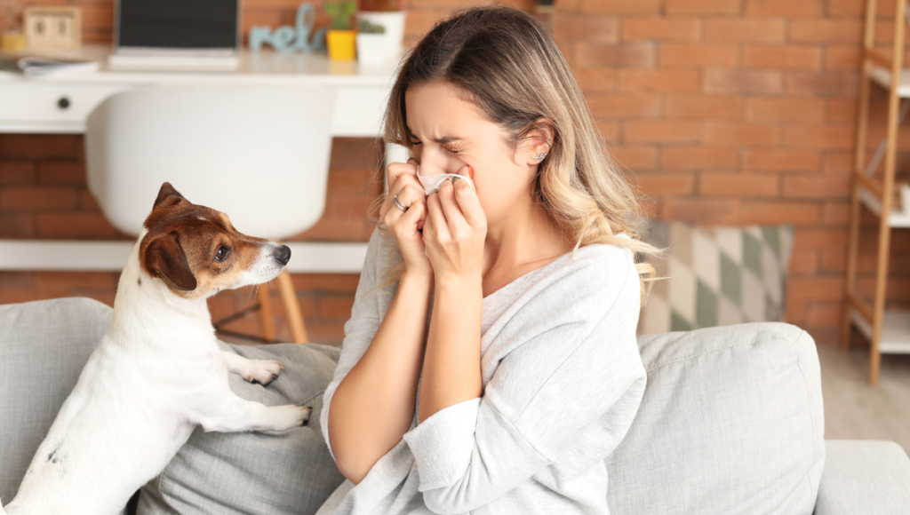 Do Air Purifiers Work for Pet Allergies?