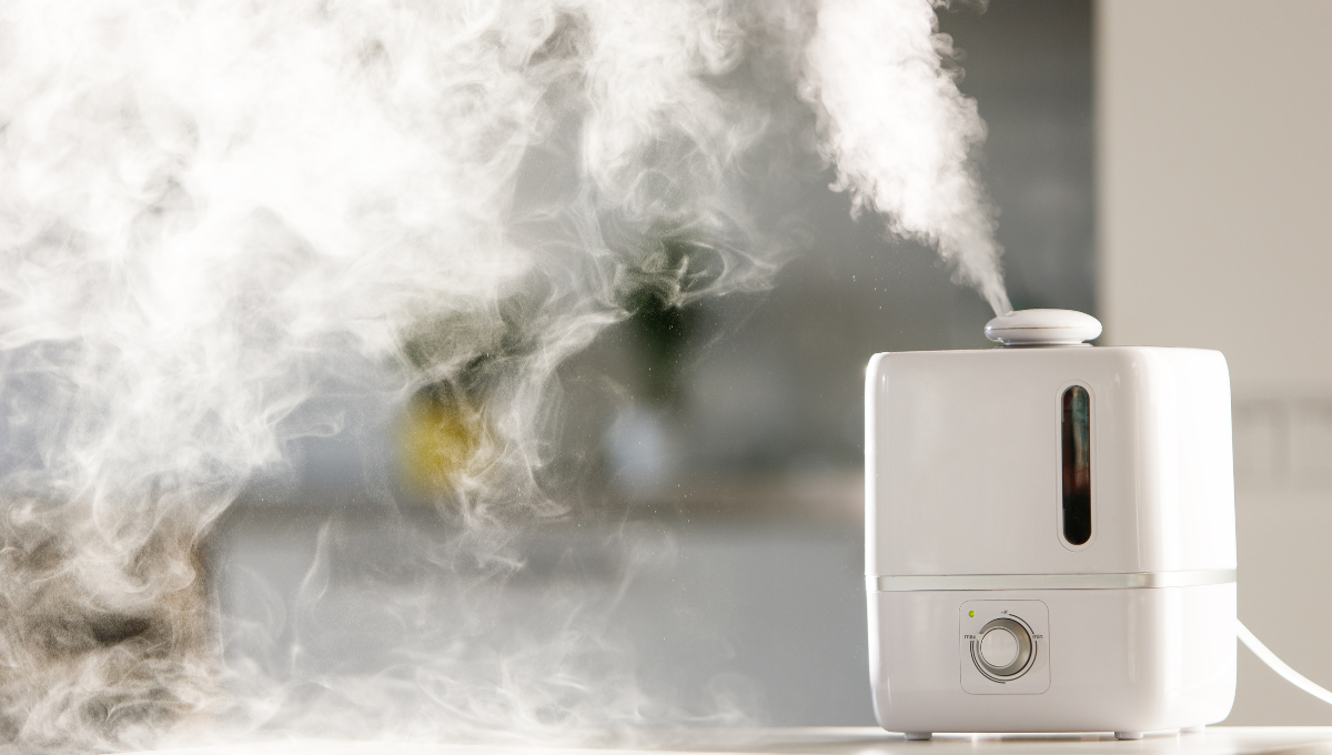 Is an Air Purifier the Same as a Dehumidifier