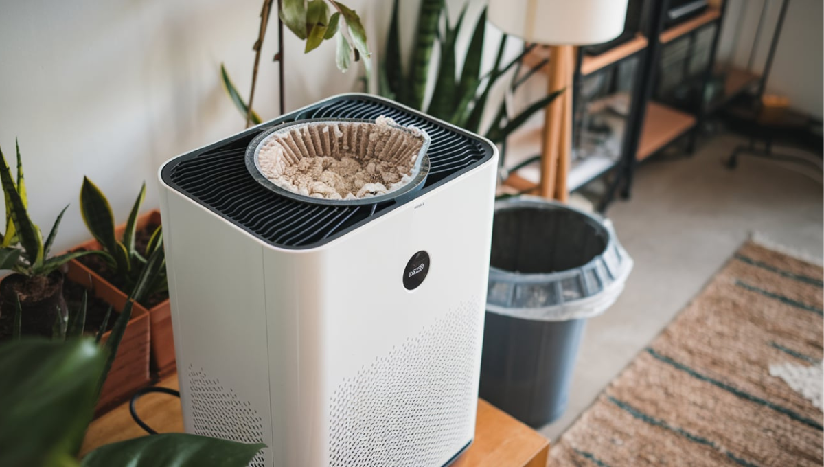 Can Your Air Purifier Make You Sick