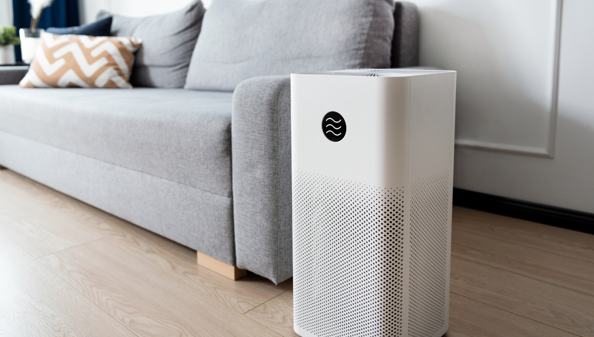 Where to Place an Air Purifier in the Living Room Pro Tips