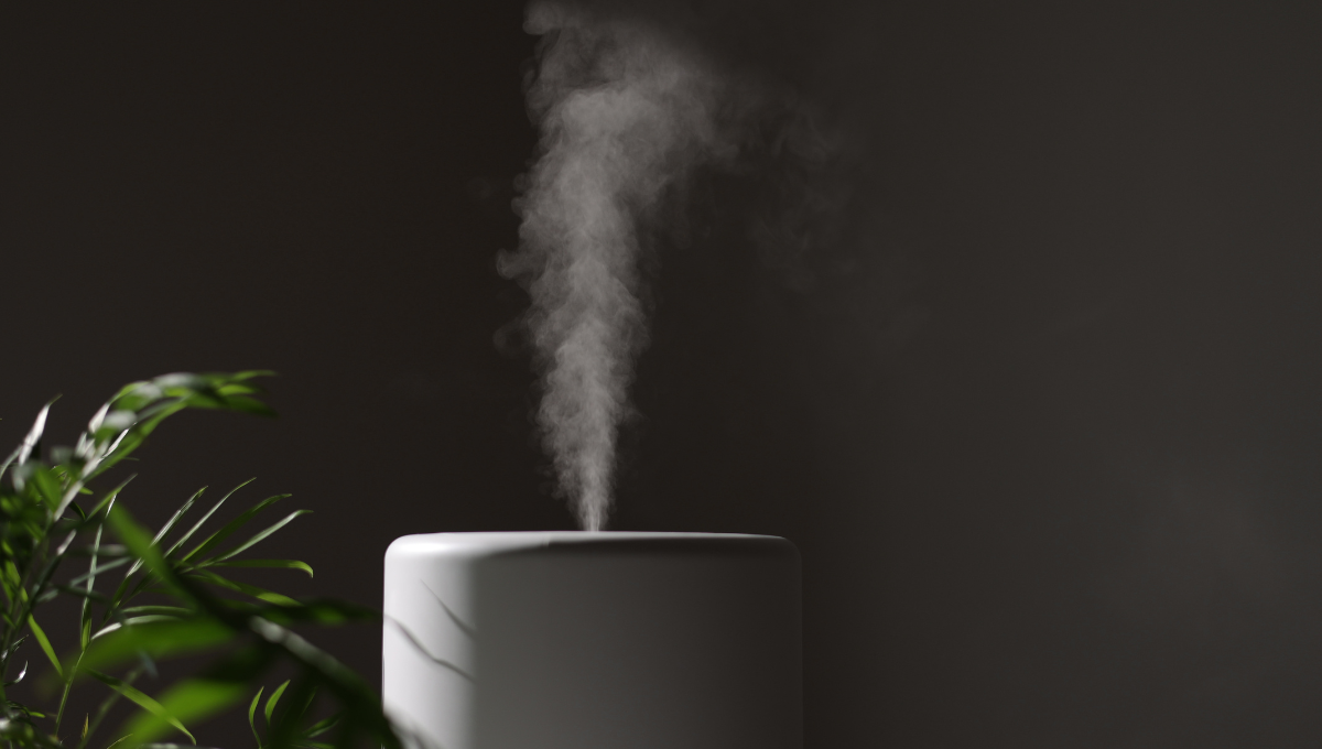 Do air purifiers help with humidity