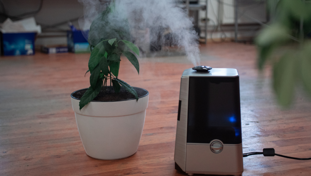 How Does an Air Purifier Work?