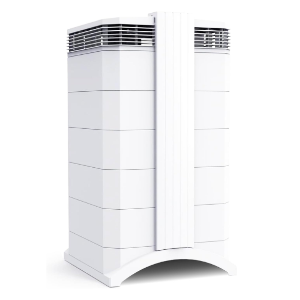 Best Charcoal Air Purifier (2)