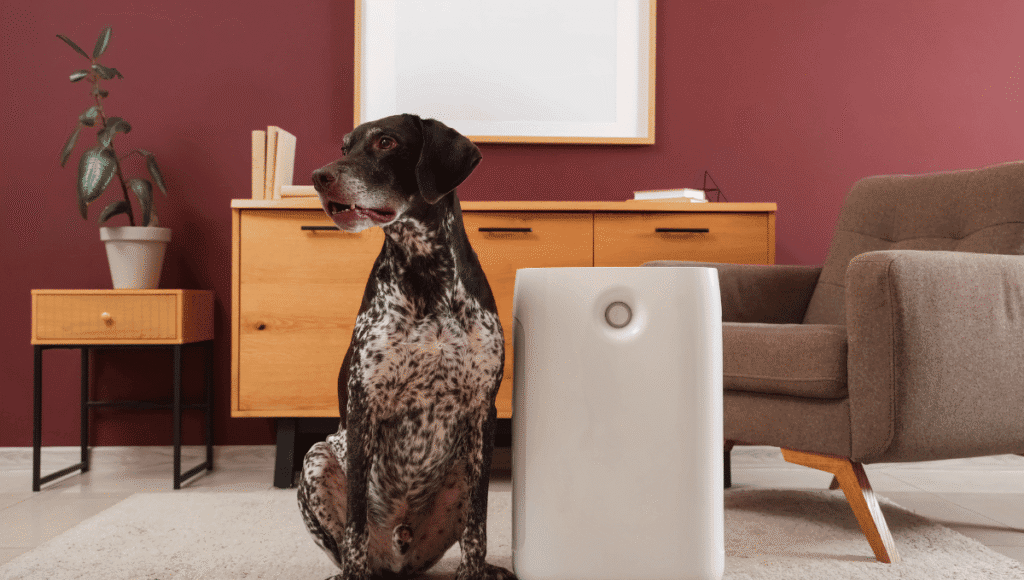The Best Air Purifier for Pets